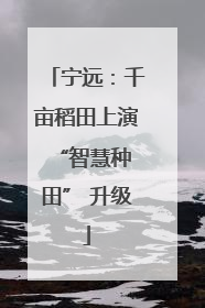 宁远：千亩稻田上演 “智慧种田” 升级