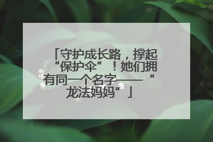 守护成长路，撑起“保护伞”！她们拥有同一个名字——“龙法妈妈”