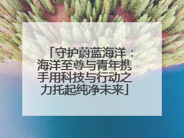 守护蔚蓝海洋：海洋至尊与青年携手用科技与行动之力托起纯净未来
