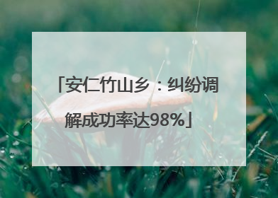 安仁竹山乡：纠纷调解成功率达98%