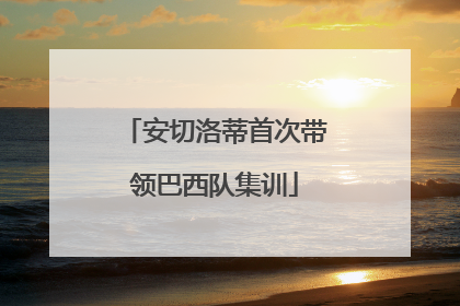 安切洛蒂首次带领巴西队集训