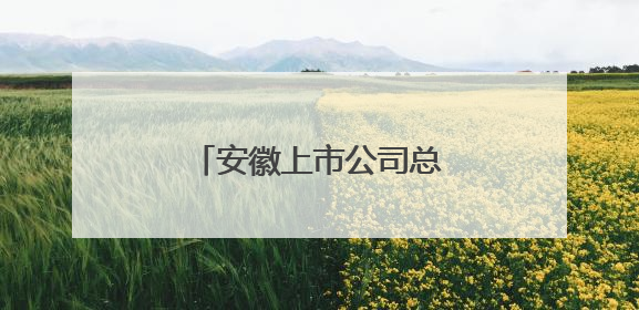 安徽上市公司总数达186家