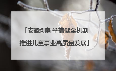 安徽创新举措健全机制 推进儿童事业高质量发展