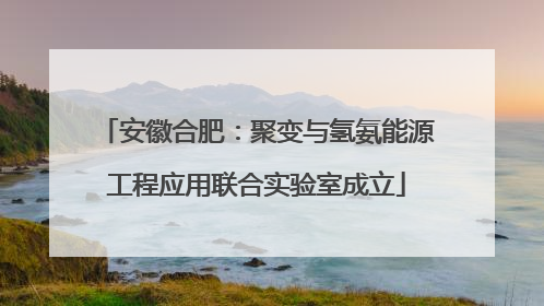 安徽合肥：聚变与氢氨能源工程应用联合实验室成立