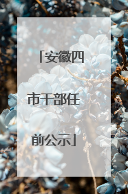 安徽四市干部任前公示