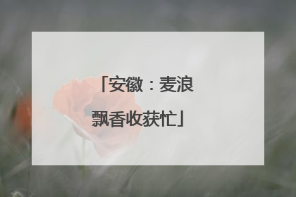 安徽：麦浪飘香收获忙