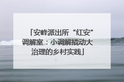 安峰派出所“红安”调解室：小调解撬动大治理的乡村实践