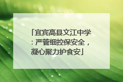 宜宾高县文江中学：严管细控保安全，凝心聚力护食安