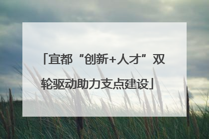 宜都“创新+人才”双轮驱动助力支点建设