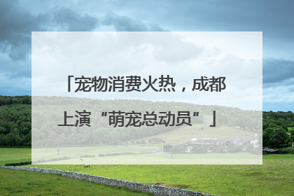 宠物消费火热，成都上演“萌宠总动员”