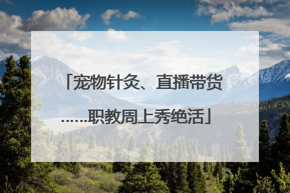 宠物针灸、直播带货……职教周上秀绝活