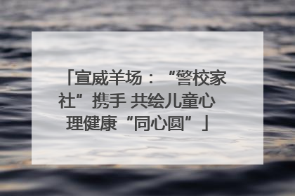 宣威羊场：“警校家社”携手 共绘儿童心理健康“同心圆”