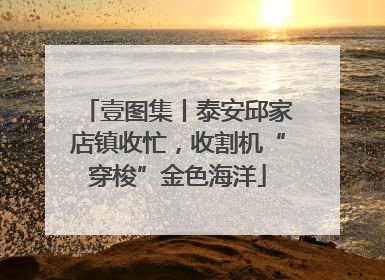 壹图集丨泰安邱家店镇收忙，收割机“穿梭”金色海洋