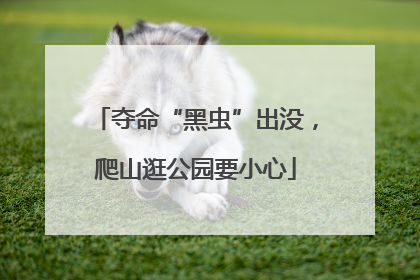 夺命“黑虫”出没，爬山逛公园要小心