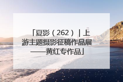 夏影（262）｜上游主题摄影征稿作品展——黄红专作品
