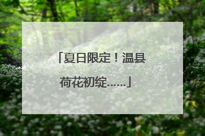 夏日限定！温县荷花初绽……