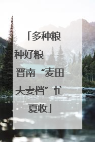 多种粮 种好粮——晋南“麦田夫妻档”忙夏收