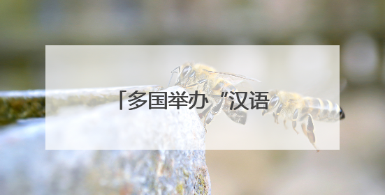 多国举办“汉语桥”中文比赛促进跨文化交流