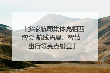 多家航司集体亮相西博会 航线拓展、智慧出行等亮点纷呈