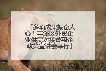 多项成果振奋人心！丰泽区外贸企业供需对接暨惠企政策宣讲会举行