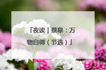 夜读｜蔡皋：万物自得（节选）
