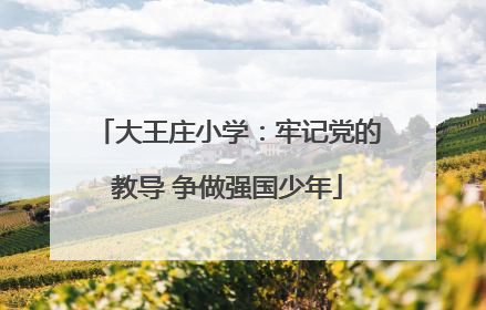 大王庄小学：牢记党的教导 争做强国少年