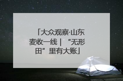 大众观察·山东麦收一线｜“无形田”里有大账
