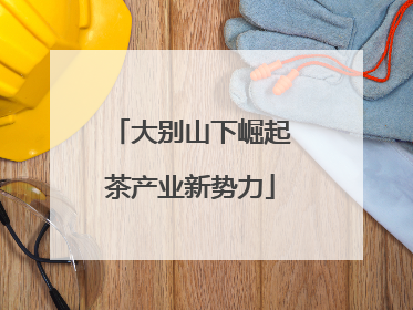 大别山下崛起茶产业新势力