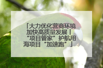 大力优化营商环境 加快高质量发展丨“项目管家”护航用海项目“加速跑”