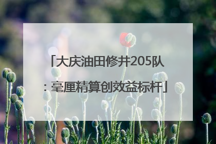 大庆油田修井205队：毫厘精算创效益标杆