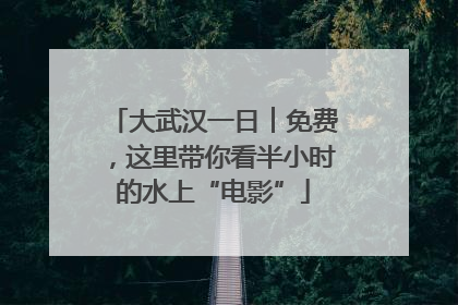 大武汉一日︱免费，这里带你看半小时的水上“电影”