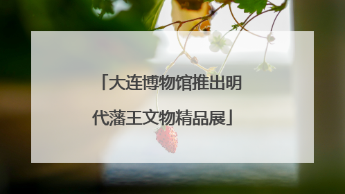大连博物馆推出明代藩王文物精品展