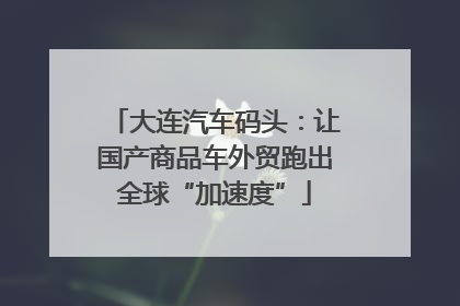 大连汽车码头：让国产商品车外贸跑出全球“加速度”