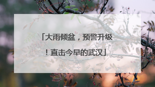 大雨倾盆，预警升级！直击今早的武汉