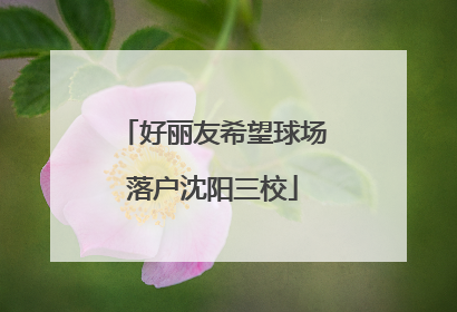 好丽友希望球场落户沈阳三校