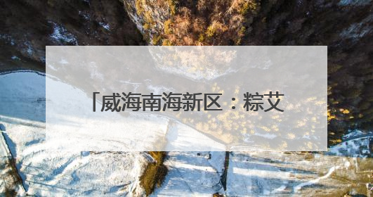 威海南海新区：粽艾传温情 龙舟竞端午