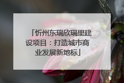忻州东瑞欣瑞里建设项目：打造城市商业发展新地标