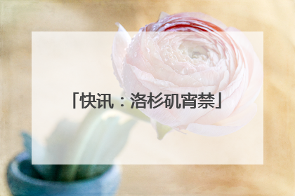 快讯：洛杉矶宵禁