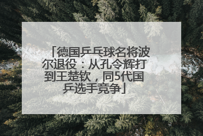 德国乒乓球名将波尔退役：从孔令辉打到王楚钦，同5代国乒选手竞争