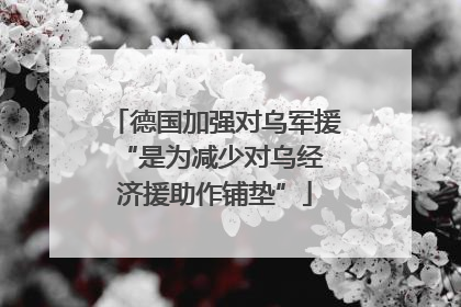 德国加强对乌军援 “是为减少对乌经济援助作铺垫”