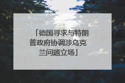 德国寻求与特朗普政府协调涉乌克兰问题立场