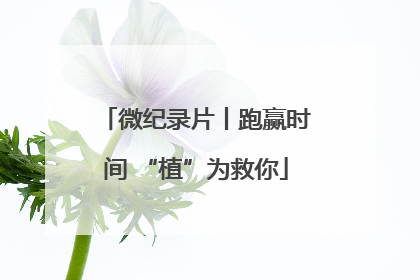 微纪录片丨跑赢时间 “植”为救你
