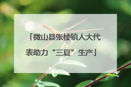 微山县张楼镇人大代表助力“三夏”生产