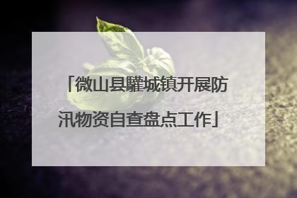 微山县驩城镇开展防汛物资自查盘点工作