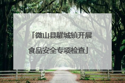 微山县驩城镇开展食品安全专项检查