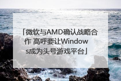 微软与AMD确认战略合作 高呼要让Windows成为头号游戏平台
