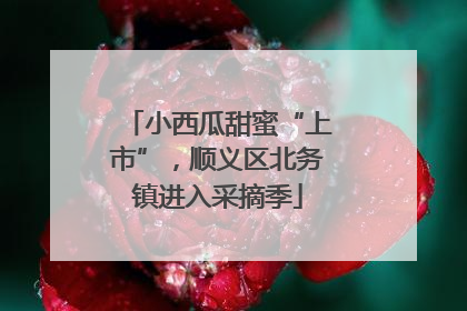 小西瓜甜蜜“上市”，顺义区北务镇进入采摘季