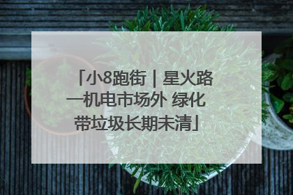 小8跑街｜星火路一机电市场外 绿化带垃圾长期未清