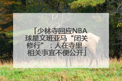 少林寺回应NBA球星文班亚马“闭关修行”：人在寺里，相关事宜不便公开