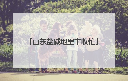 山东盐碱地里丰收忙
